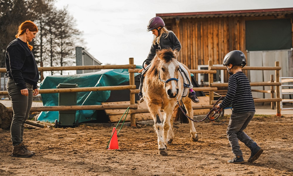 Diana-Macht-Herde-mit-Herz-lernen-am-Pferd-Psychomotorik-Ponyreiten-ponyhof-Reiten-Kind-Bayern-Cham-Oberpfalz-Ferienprogramm-min