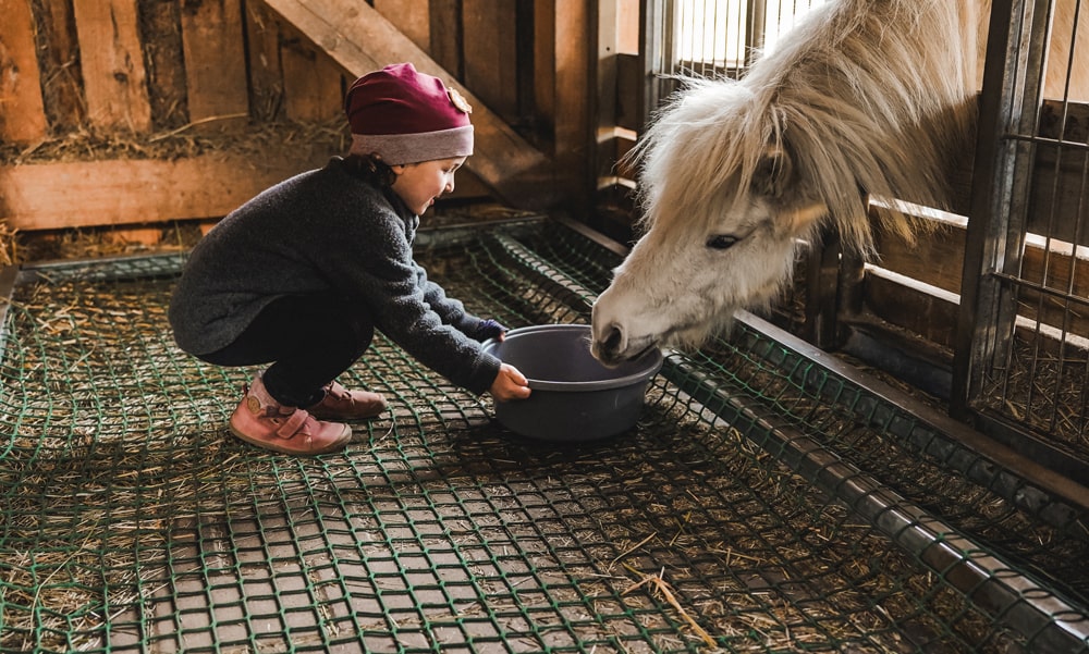 Diana-Macht-Herde-mit-Herz-lernen-am-Pferd-Psychomotorik-Ponyreiten-ponyhof-Reiten-Kind-Bayern-Cham-Oberpfalz-Füttern-min